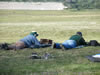 PE Regional Bisley Shoot 2010